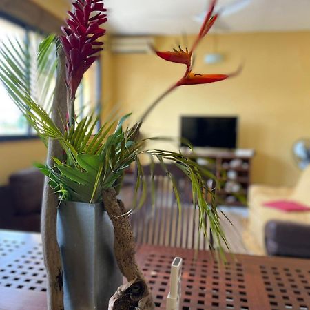 Appartement Tout Confort 圣安尼 外观 照片