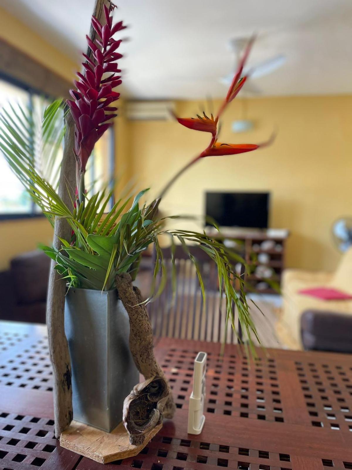 Appartement Tout Confort 圣安尼 外观 照片